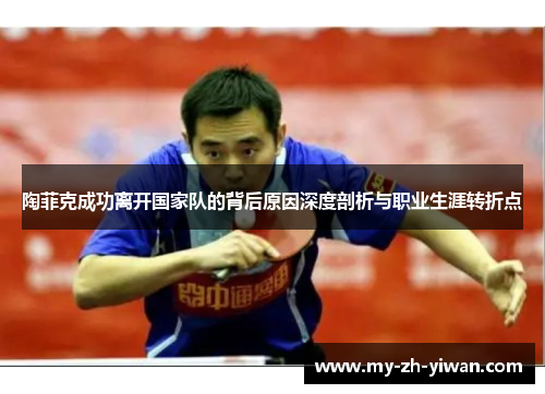 陶菲克成功离开国家队的背后原因深度剖析与职业生涯转折点