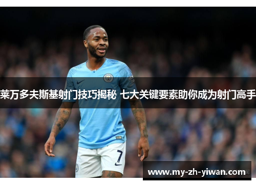 莱万多夫斯基射门技巧揭秘 七大关键要素助你成为射门高手 莱万多夫斯基射门技巧揭秘 七大关键要素助你成为射门高手