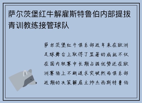 萨尔茨堡红牛解雇斯特鲁伯内部提拔青训教练接管球队
